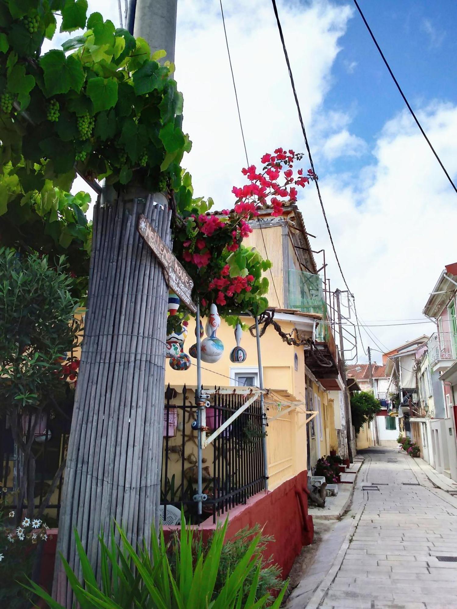 Hellenes House Daire Lefkáda Dış mekan fotoğraf